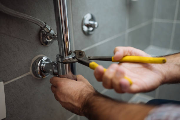 Best Local Plumber Services  in Ofallon, IL